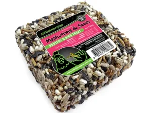 Treat Blocks - Mealworms & Seeds