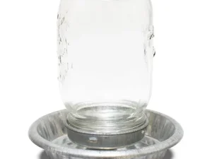 This is an image of a glass jar inverted into a metal base, commonly used as a poultry waterer. The jar holds water, which dispenses into the shallow dish below, allowing birds to drink.