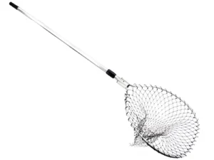 This is an image of a fishing net with a long handle.