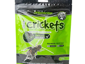 DRIED CRICKETS