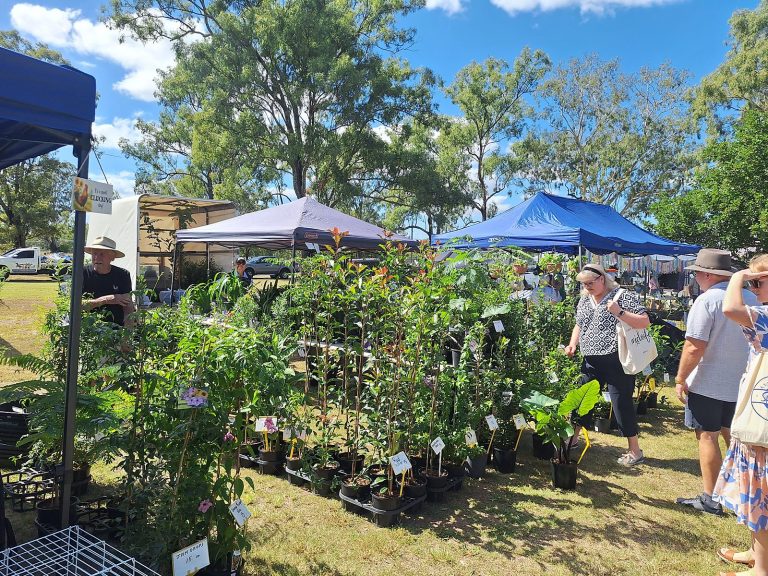 Shoppers browsing seedlings and plants at the market