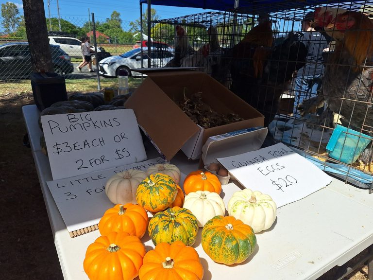 Pumpkins and guinea fowl eggs on a produce stall