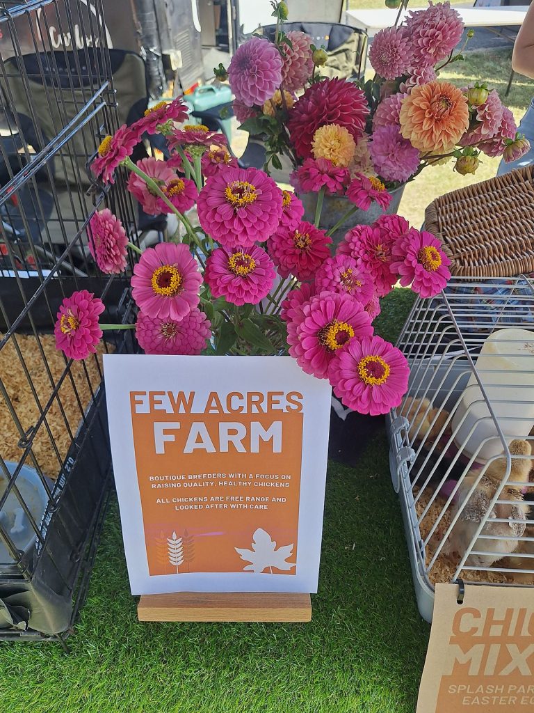 Fresh zinnia flowers on the Few Acres Farm stall