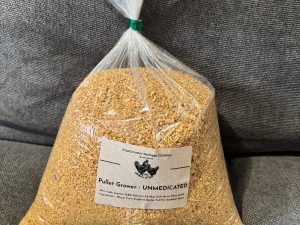 Grandchester Heritage Chickens unmedicated pullet grower, 3kg bag
